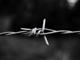 izmir dikenli jileti tel çit sistemleri